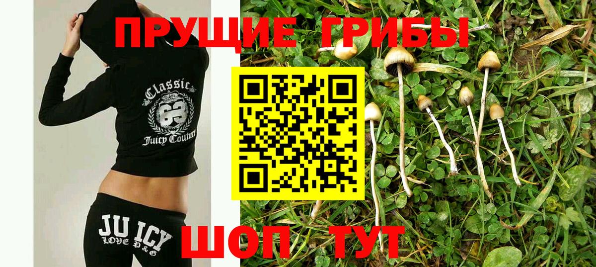 Галлюциногенные грибы прущие грибы Серпухов